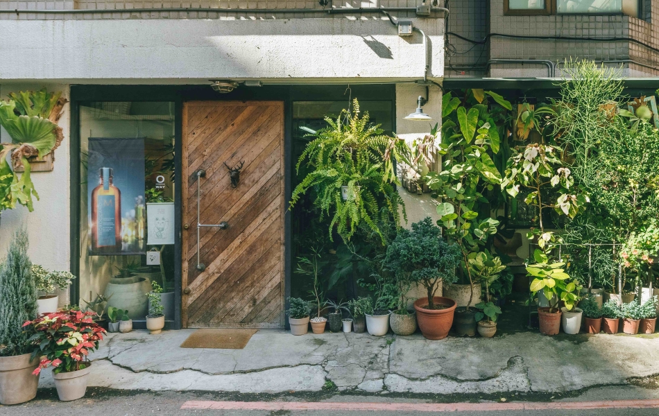 位於新竹民生路 170 巷轉角,Corner Green植角植物店有著一大片綠意