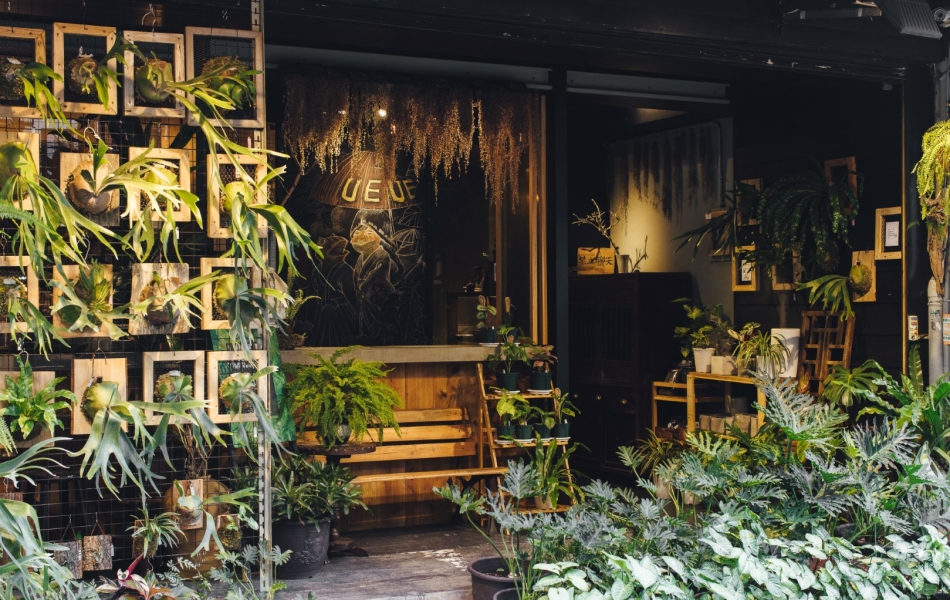 探入巷弄中扶疏的盆景中,植栽咖啡廳「蕨蕨(遷址前店名為「UEUE 鬱鬱」)」將剛剛好的綠意送到每位客人身邊。