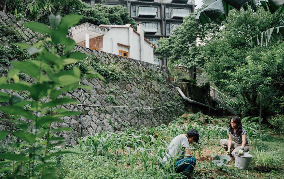 巫雲山莊位於陽明山現代社區與山林之間，兩位主理人在屋前小空地種植作物。