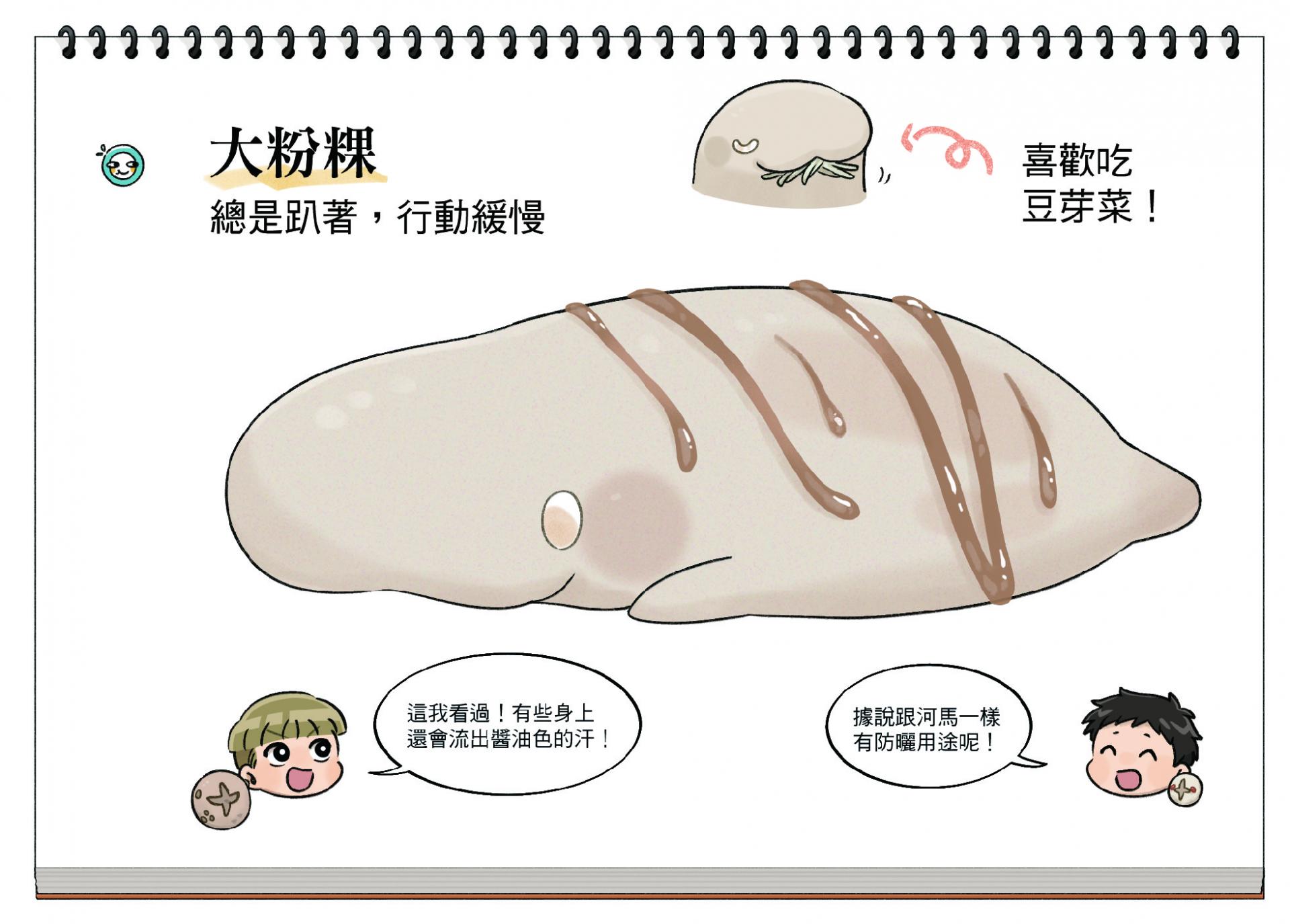《台灣特有種》